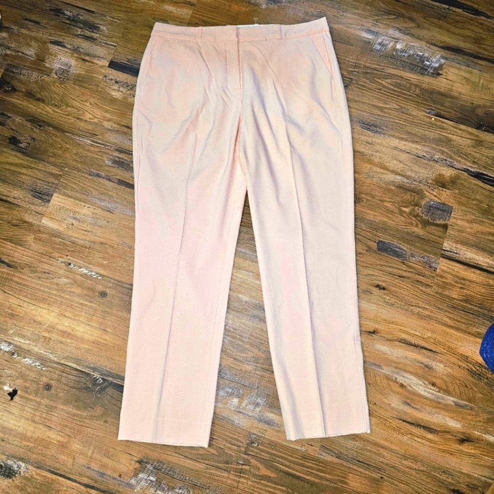 Coldwater Creek light pink pants sz16